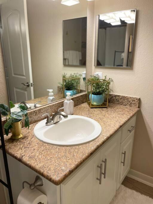 Beautiful/Spacious 2 Bedroom Houston Near Galleria Bagian luar foto